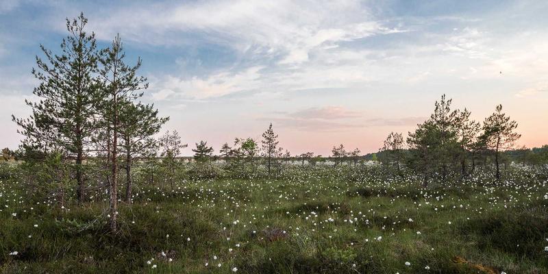 杭州AI人才争夺战:大模型浪潮下,算法工程师需要哪些新技能?薪资涨幅几何?