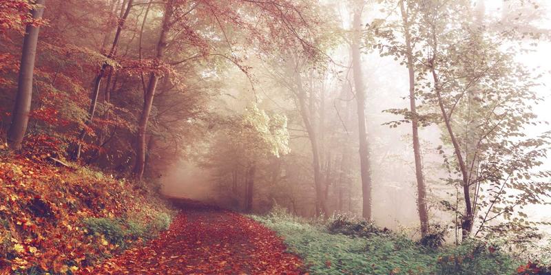 杭州“专精特新”企业招聘图谱：揭秘隐形冠军中的高潜力职业机会