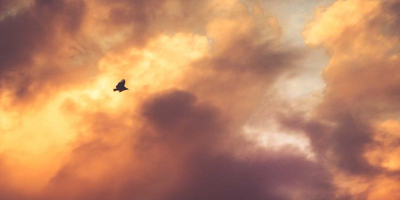 杭州金融科技人才争夺战白热化：区块链、量化分析等紧缺岗位薪资涨幅超30% | 2024深度解读